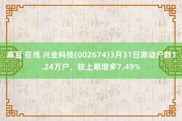麻豆 在线 兴业科技(002674)3月31日激动户数1.24万户，较上期增多7.49%