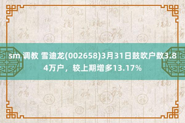 sm 调教 雪迪龙(002658)3月31日鼓吹户数3.84万户，较上期增多13.17%
