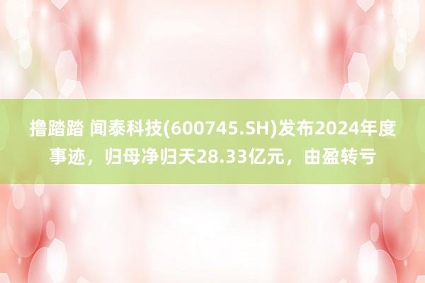 撸踏踏 闻泰科技(600745.SH)发布2024年度事迹，归母净归天28.33亿元，由盈转亏