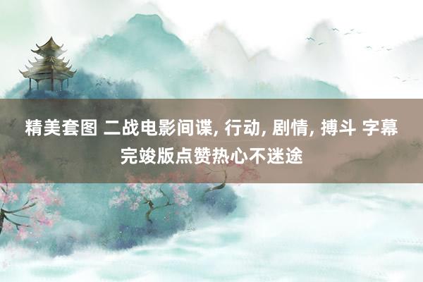 精美套图 二战电影间谍， 行动， 剧情，<a href=